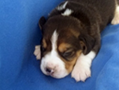 Martina Boy 2 Side 1 week